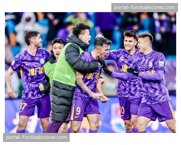 成都蓉城发布主场战津门虎海报，主题“捍卫凤凰山”激励球队